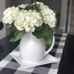 Sweet Carolina 30 Day Hydrangeas