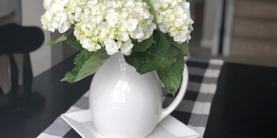 Sweet Carolina 30 Day Hydrangeas